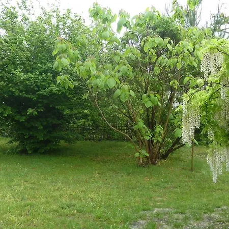 Agreable 3 Chambres Avec Beau Jardin Vakantiehuis *